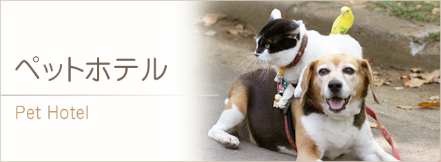 ペットホテル