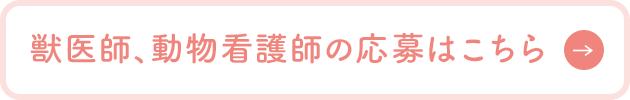 獣医師、動物看護師の応募はこちら