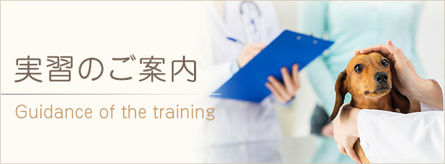 実習のご案内
