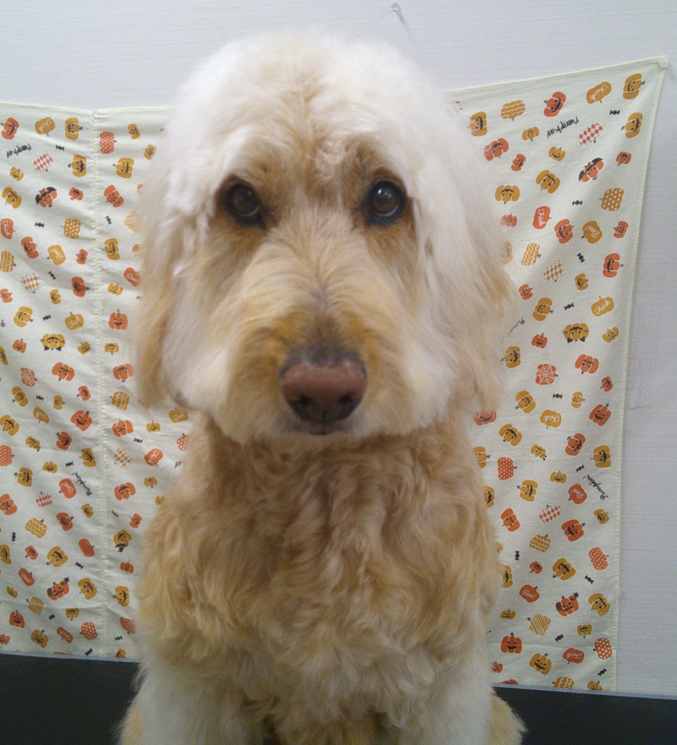 2025.10.27 ララちゃん