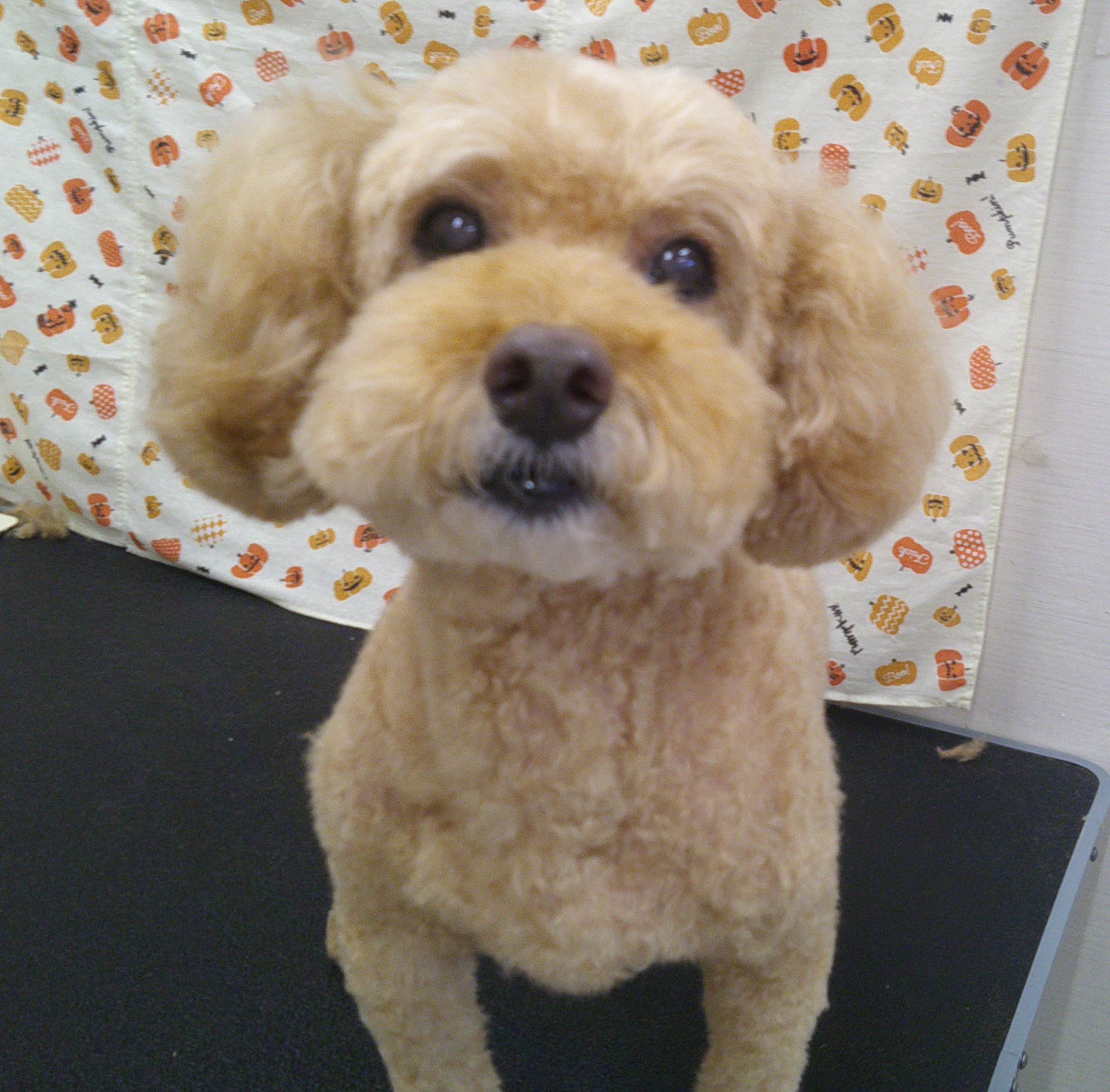 2025.11.01 スジュくん