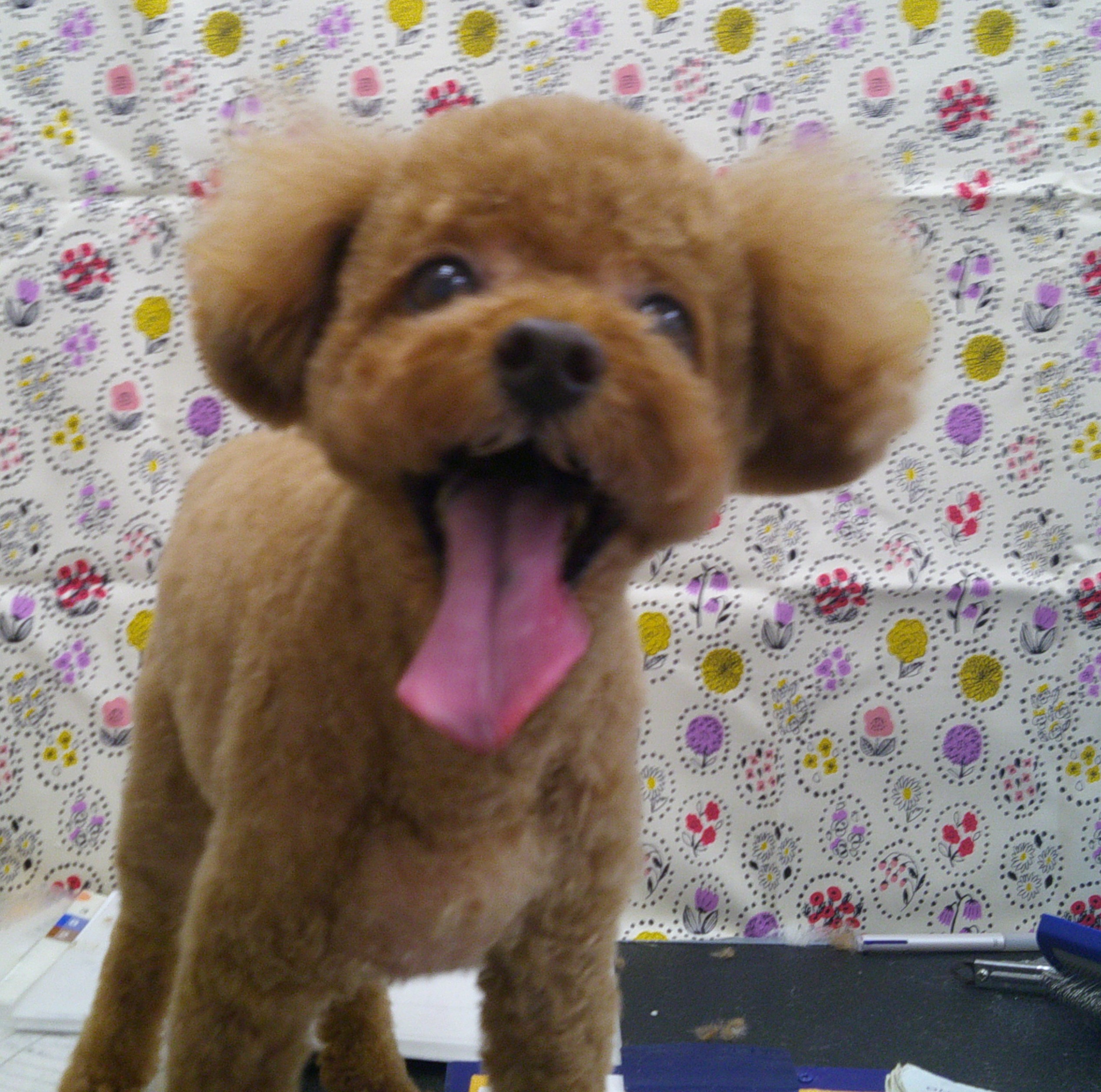 2025.11.02 シュウくん