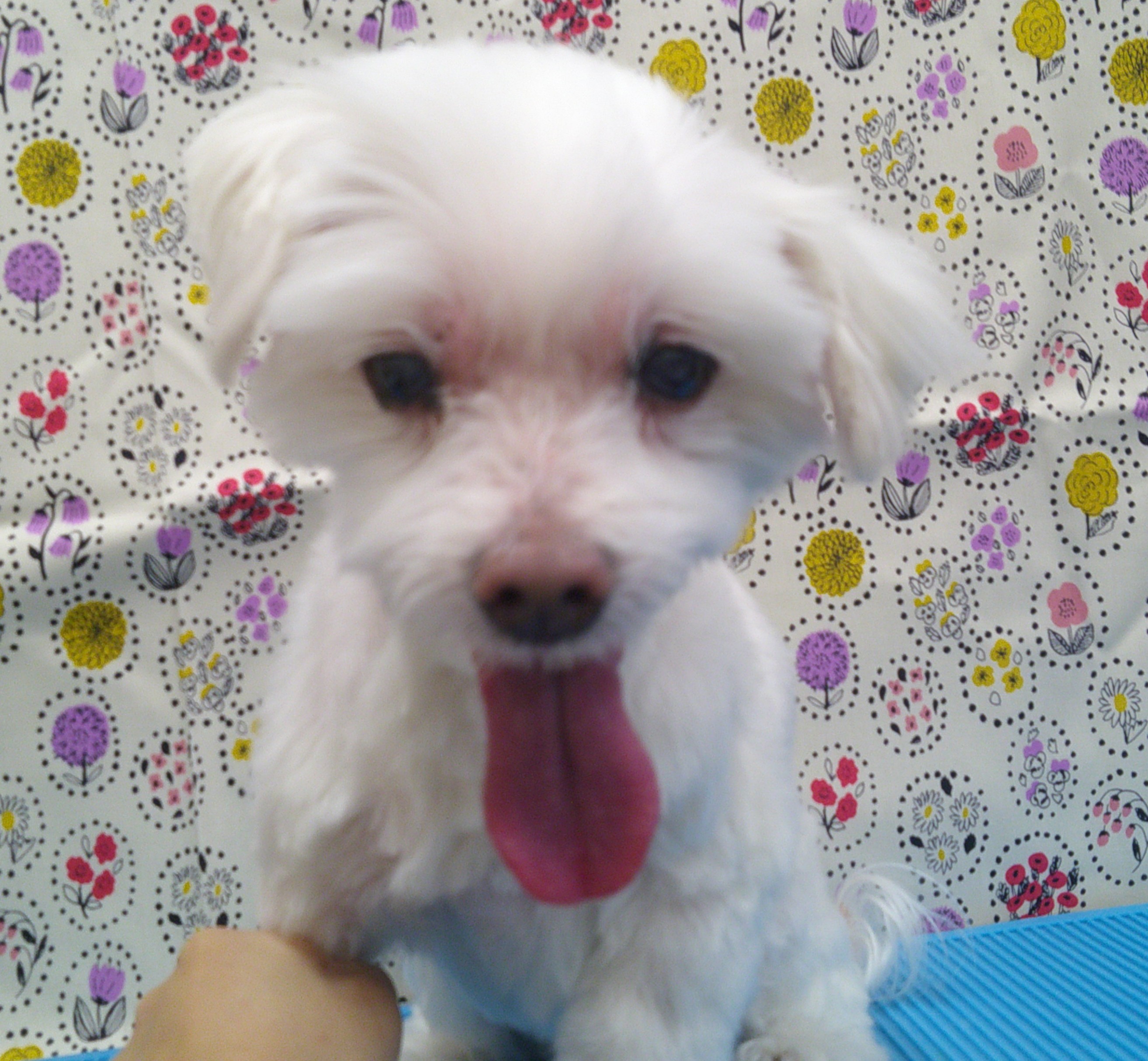 2025.11.02 宇宙くん