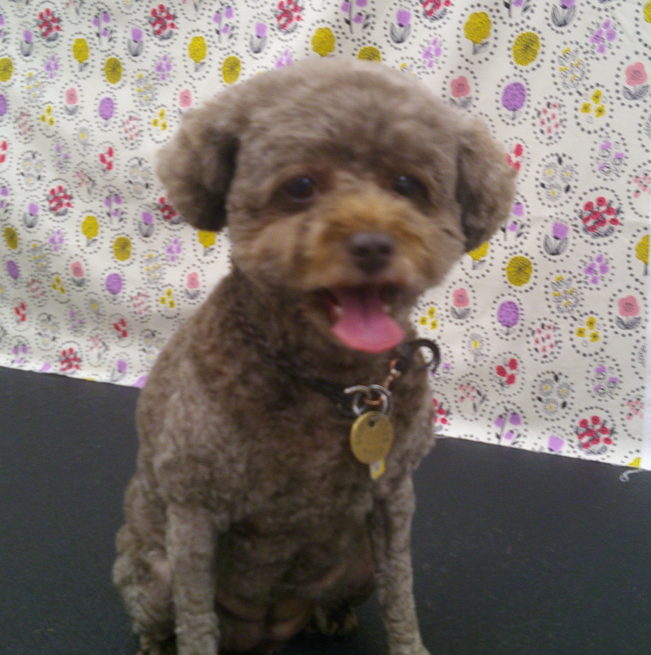 2025.11.11 まりもちゃん