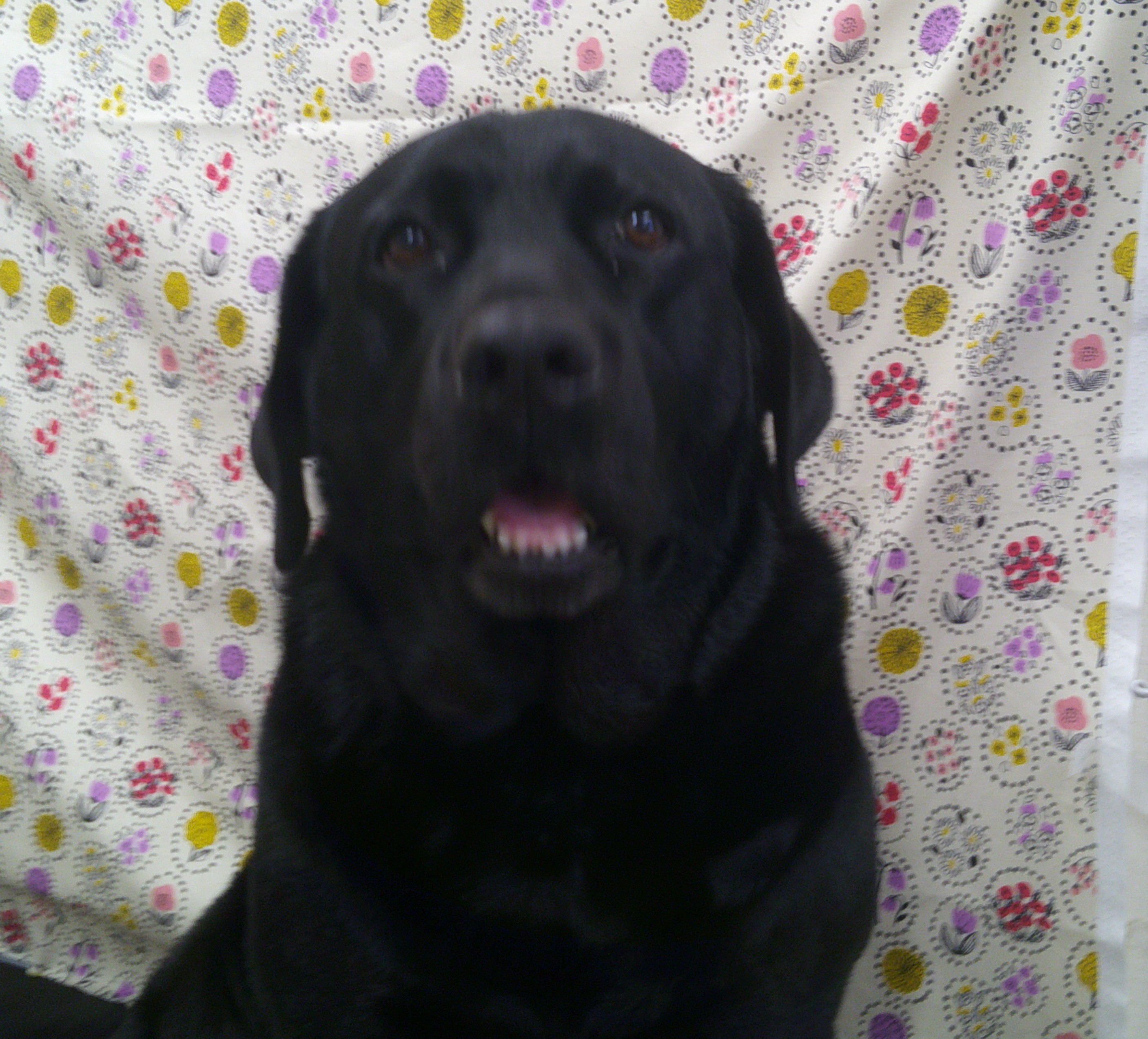 2025.11.15 ココちゃん