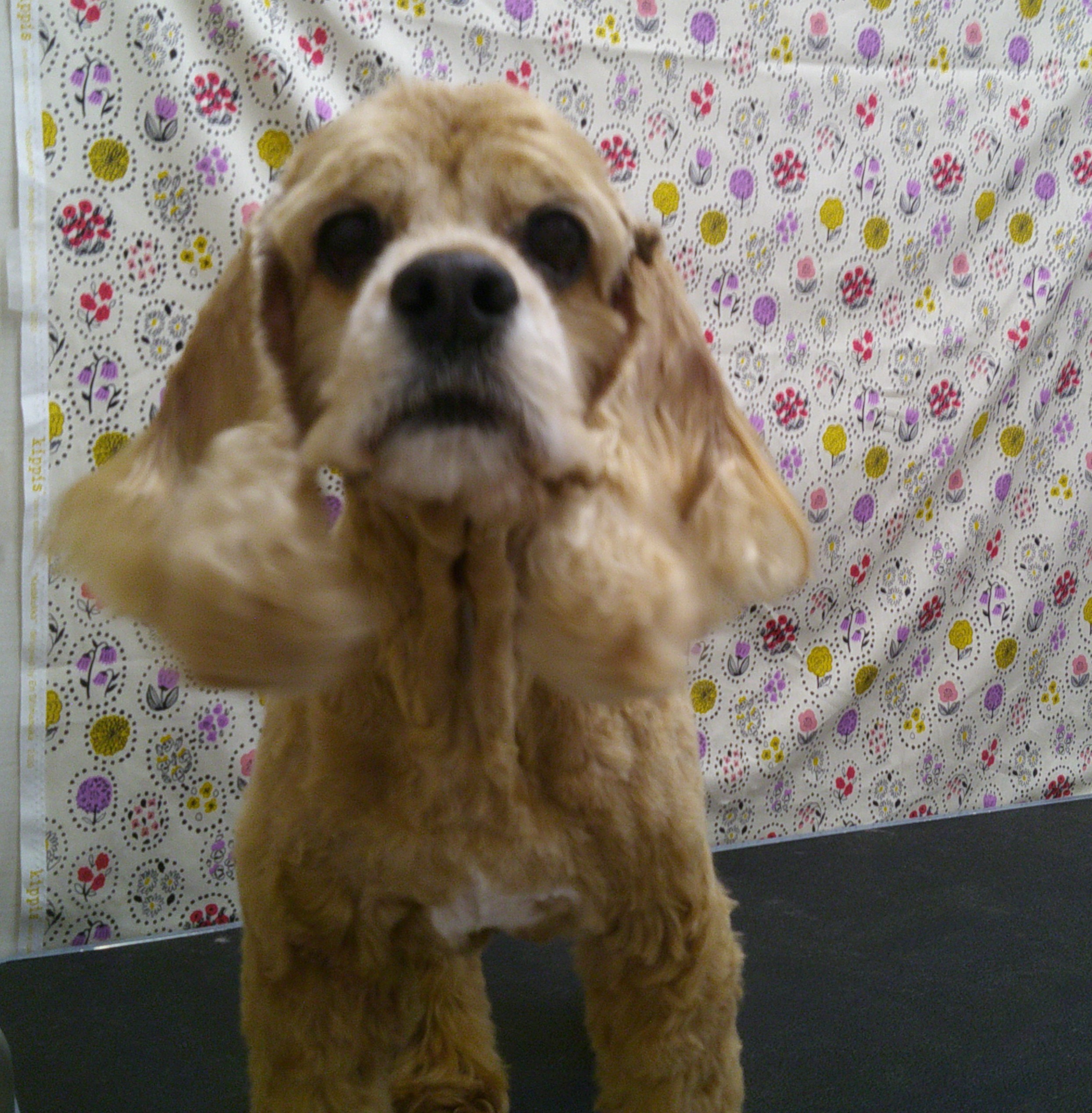 2025.11.18 はるくん