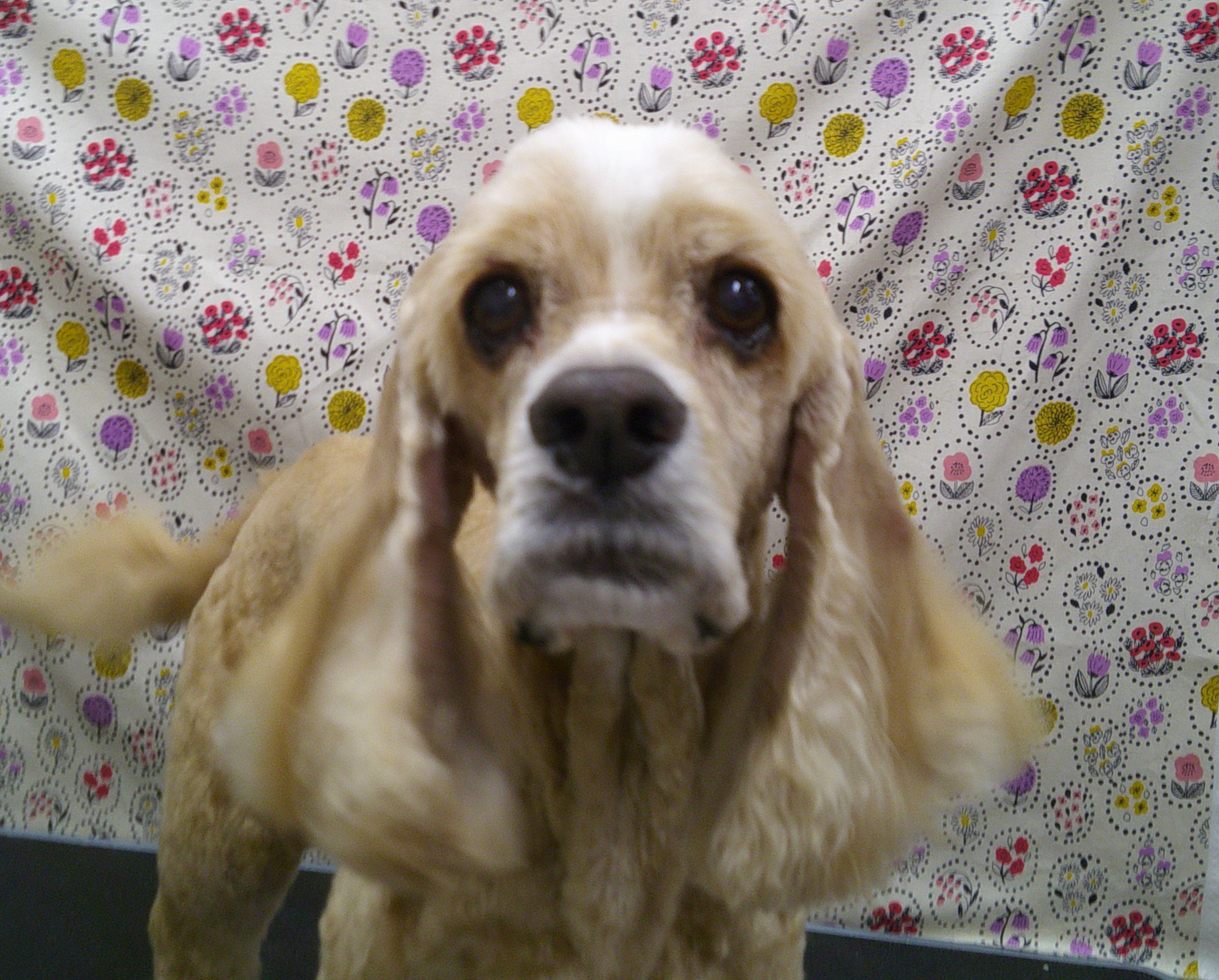 2025.11.18 まるくん