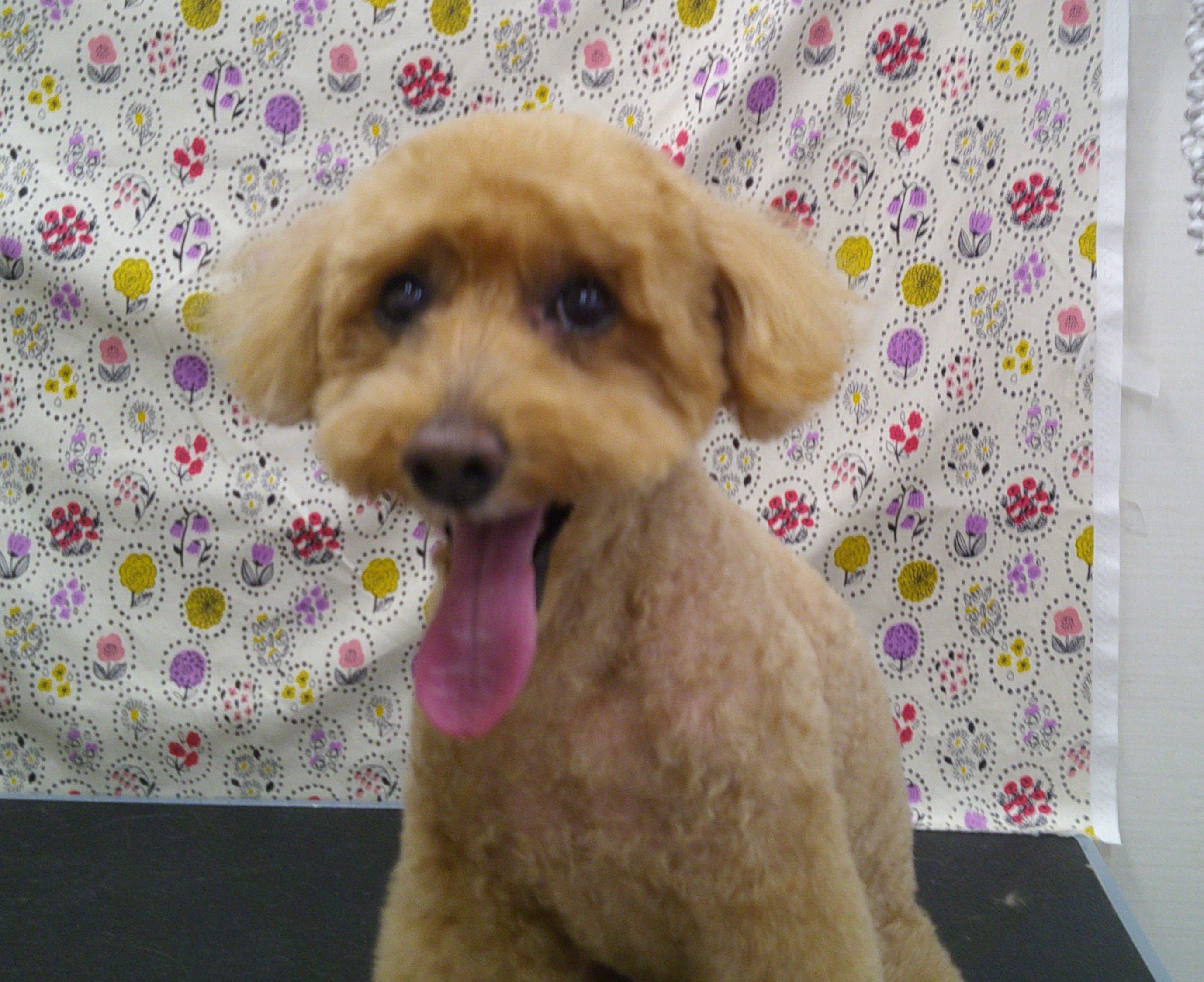 2025.11.19 ライムくん