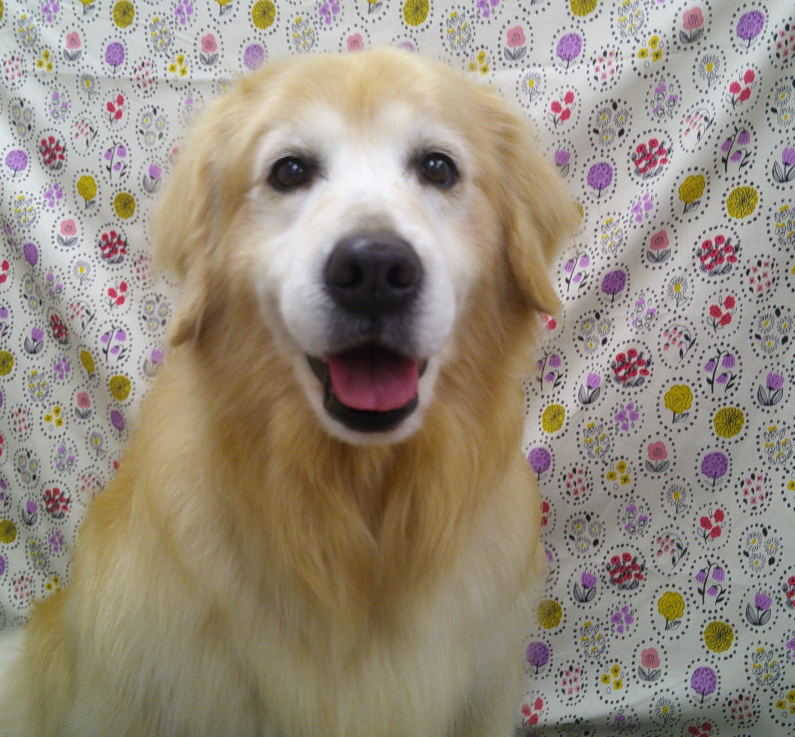 2025.11.19 ミューちゃん