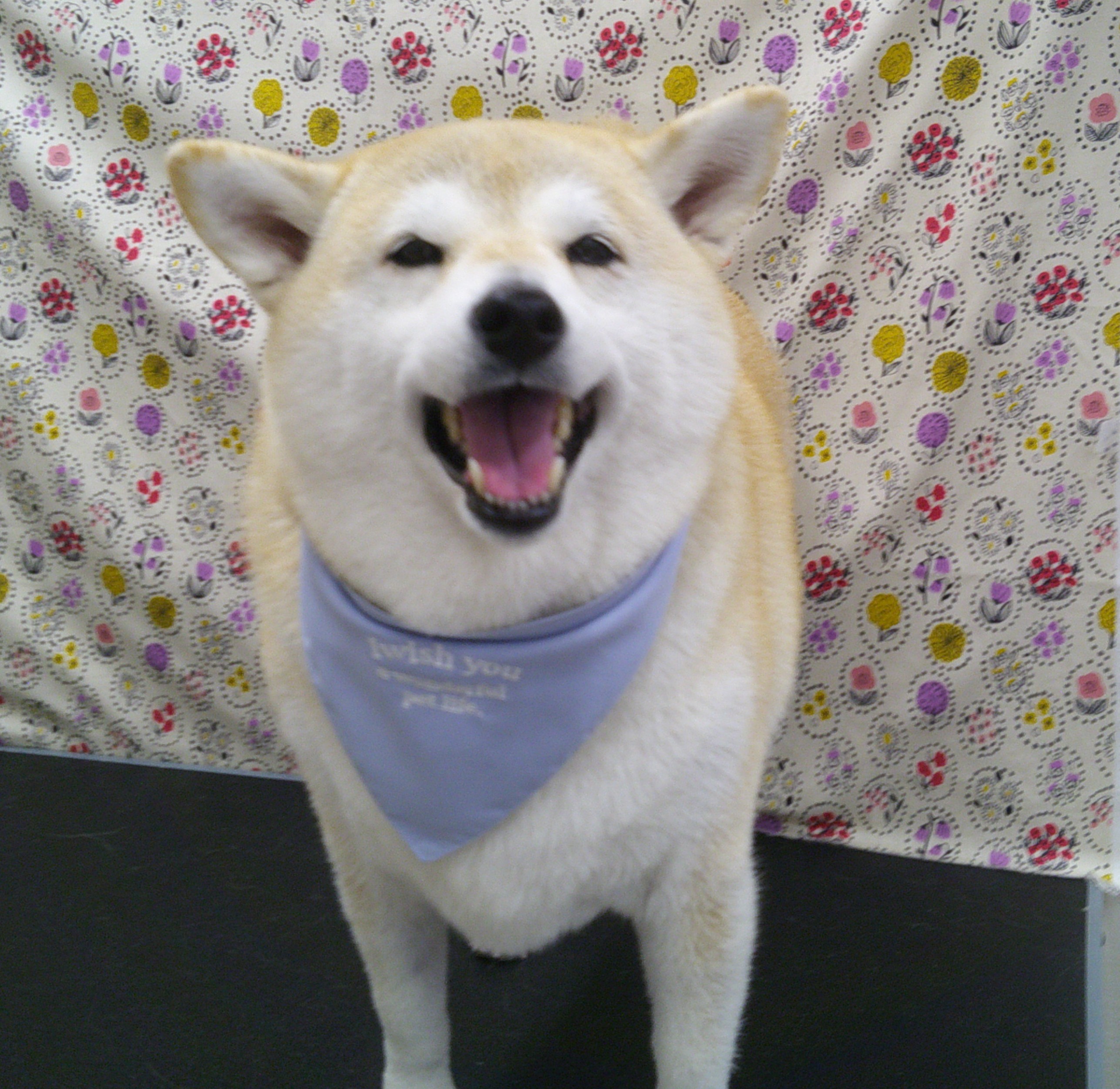 2025.11.19 澪ちゃん