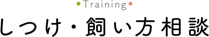 しつけ・飼い方相談