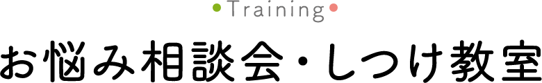 お悩み相談会・しつけ教室