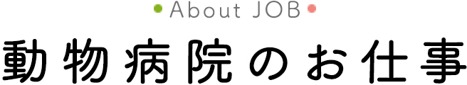 動物病院のお仕事